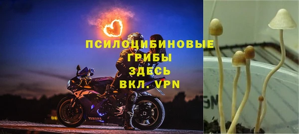 таблы Нея